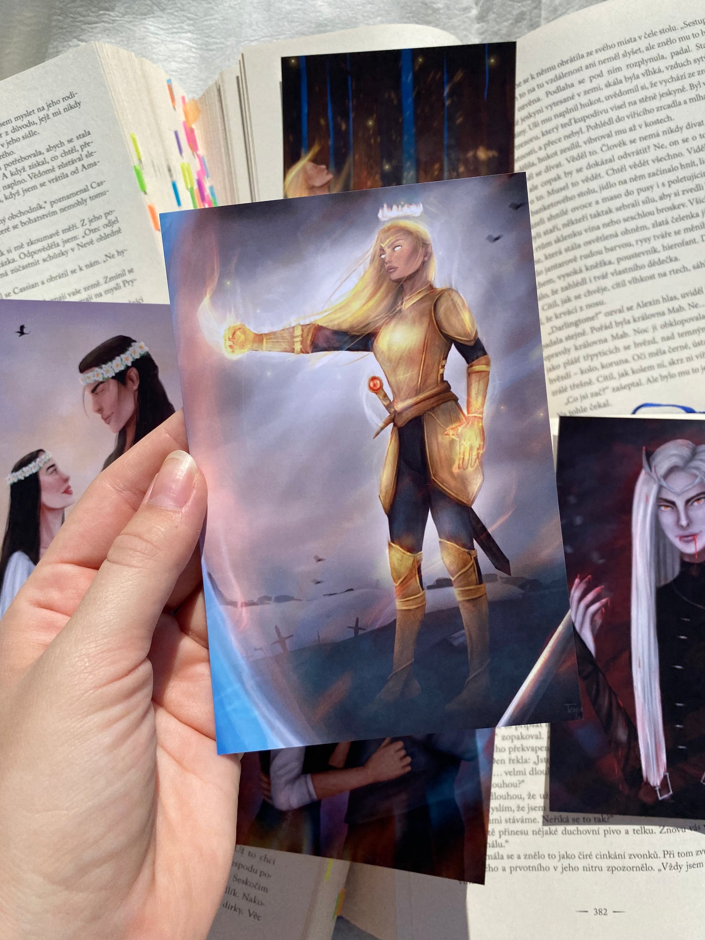 Království popela - premium art print