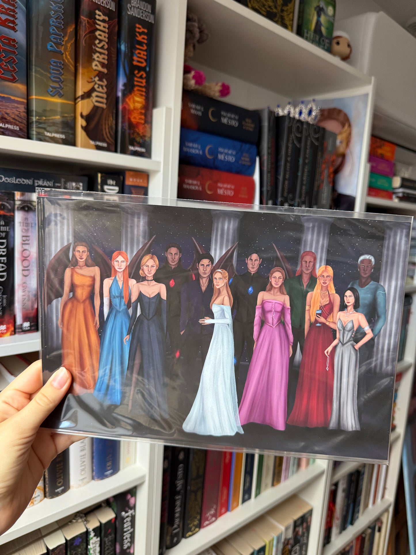 ACOTAR characters - poster