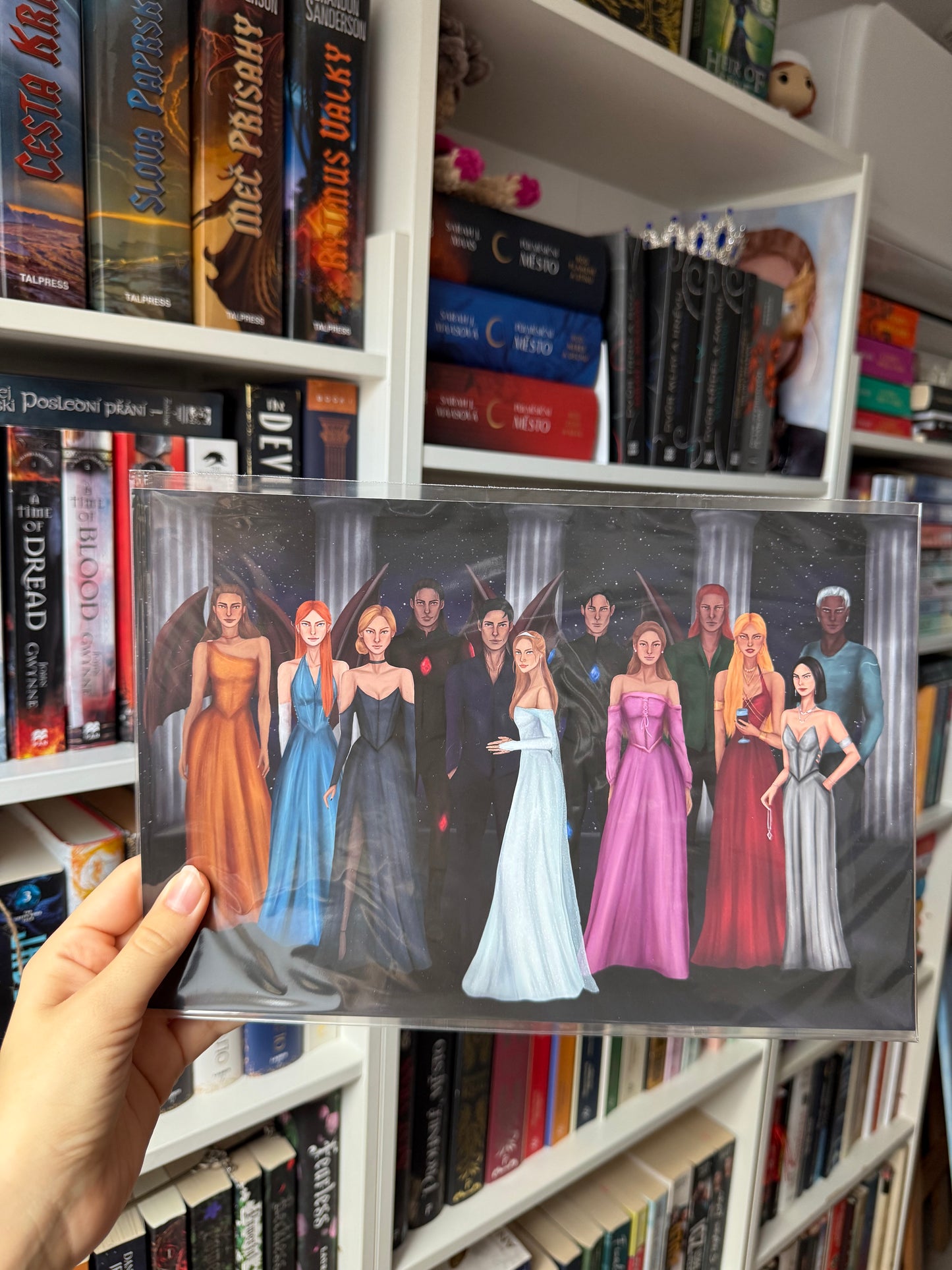 ACOTAR characters - poster