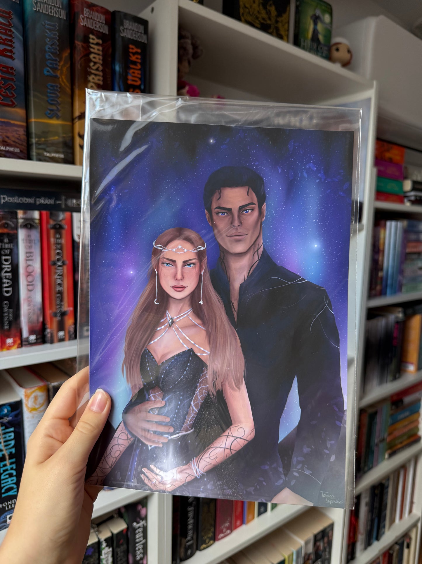 Feyre & Rhysand - poster